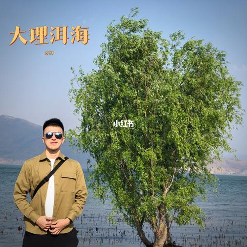 云南大理温度适合带什么衣服