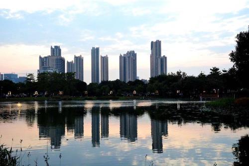 佛山映月湖公园有什么景点
