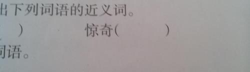 新奇的近义词