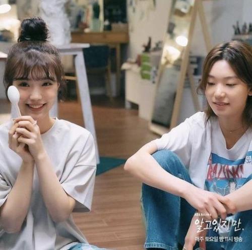 云开月明cp名怎么来的