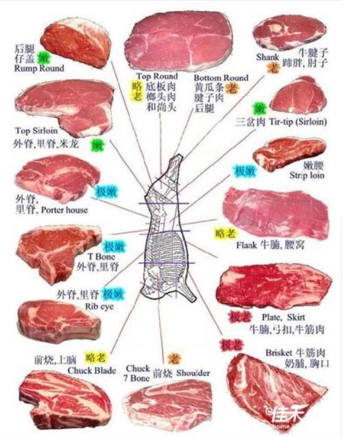 和牛是哪个部位的牛肉