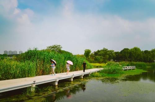虎丘湿地公园哪个门进去比较好