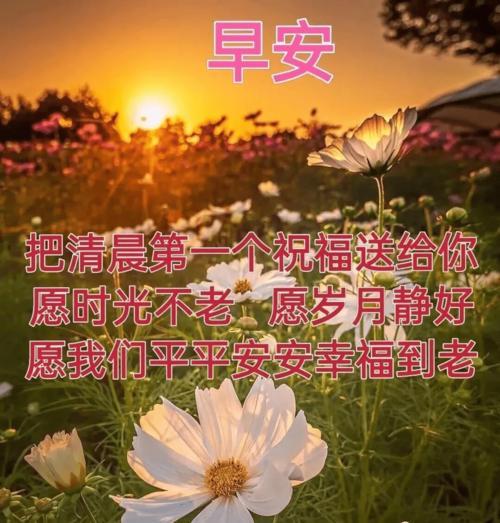 道一声早安,下一句是啥