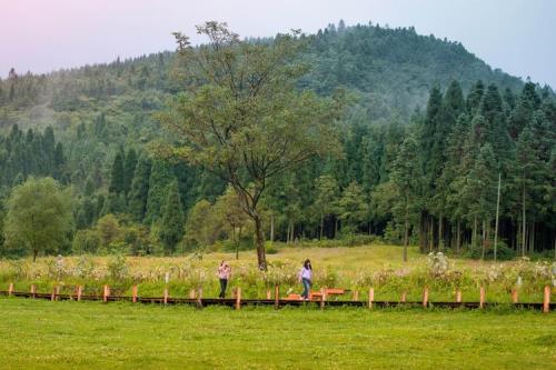 北碚周边好耍的地方