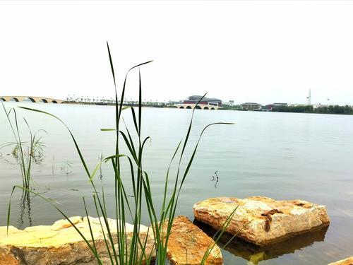 南宫湖的水是从哪里来
