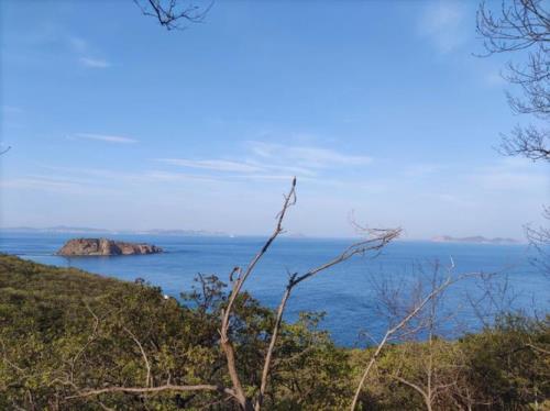 棒棰岛怎么上岛