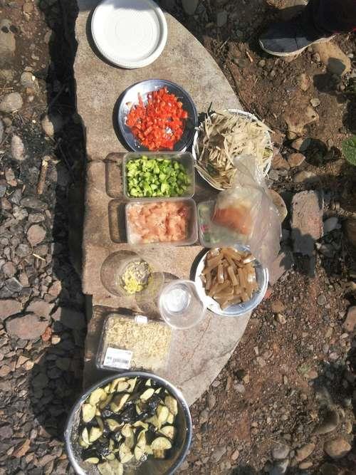 野炊近义词