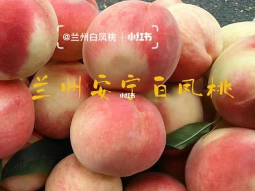 兰州白凤桃的鉴别方法