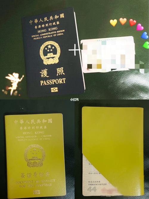 香港护照最快申请办法