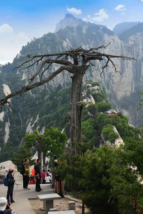 这两天爬华山穿什么衣服