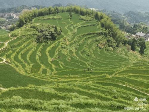 云和梯田什么时候去风景最好