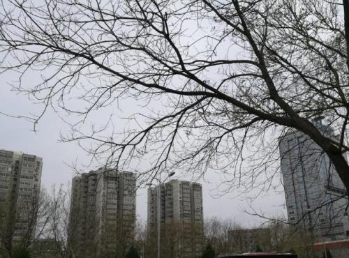 北京北京酒仙桥属于哪个城区