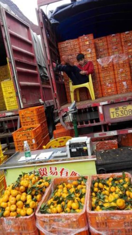 济南的水果批发市场有哪些