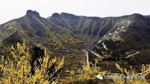 青州好玩的地方室内