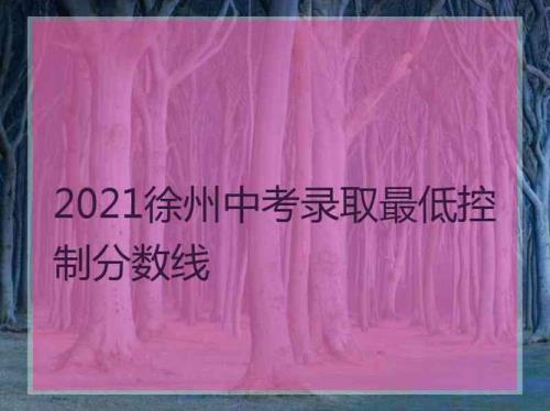 徐州2021年的三星级高中有哪些