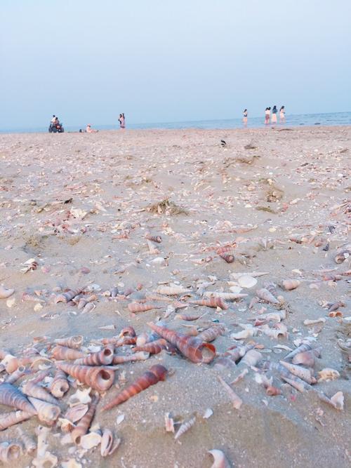 防城港冬季赶海