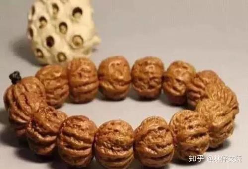 桃核为什么会引来飞虫