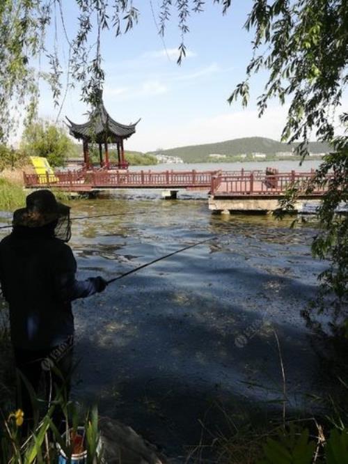 徐州云龙湖钓鱼怎样收费的