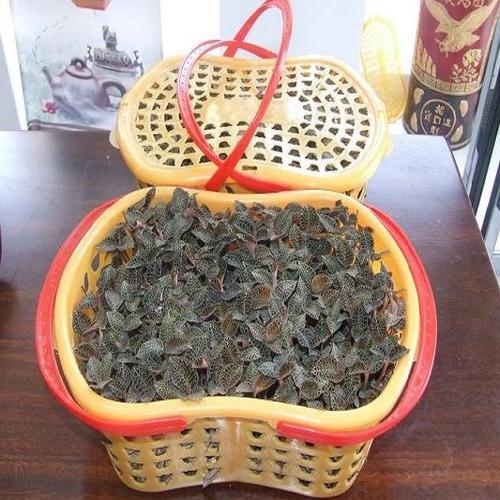 福建三明特产有哪些