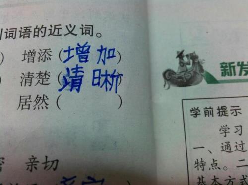 眼睛的近义词
