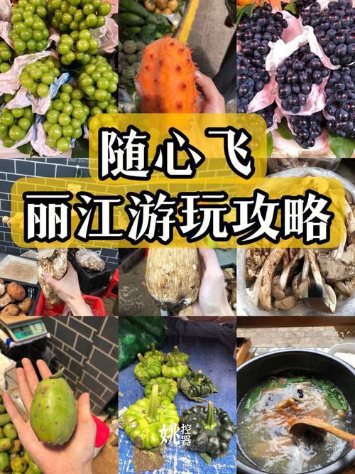 丽江飞遵义经过哪些地方
