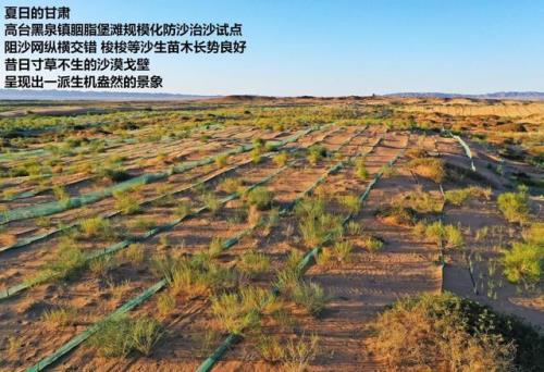固沙压沙属于哪类工程