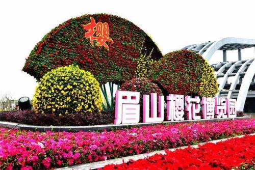 眉山看花最好地方