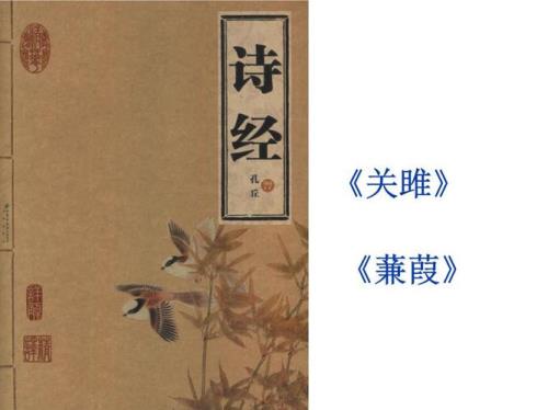 关关雎鸠全文是什么意思