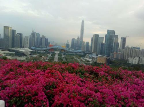 深圳莲花山公园游玩一圈多久