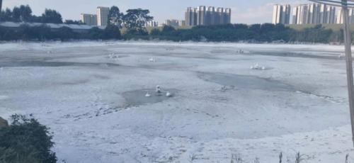 鱼塘黑水油墨用生石灰可不可以