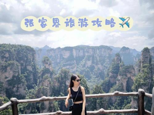 张家界旅游每天有多少人
