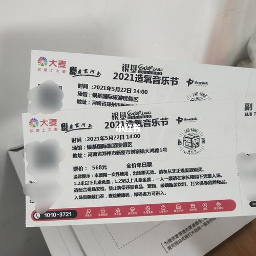 音乐节大巴票什么意思