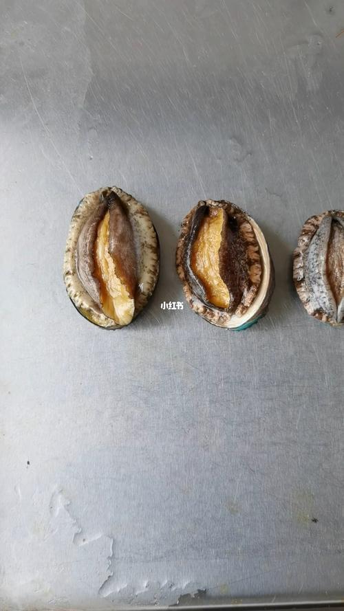 鲍鱼的大小怎么分辨