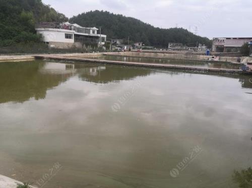 贵阳垂钓规定