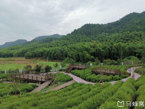 衢州亲子游必去景点