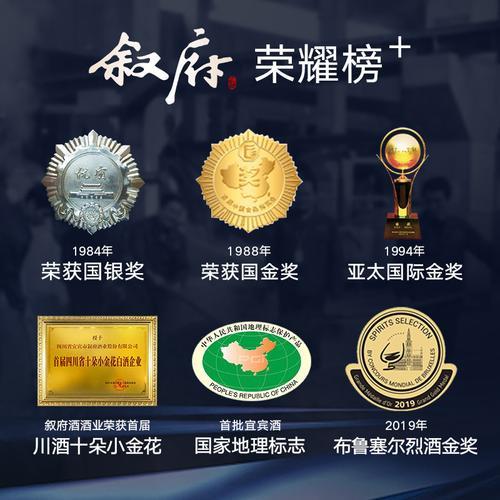 叙府金典如何