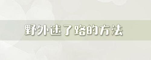 迷路了该怎么辨别方向