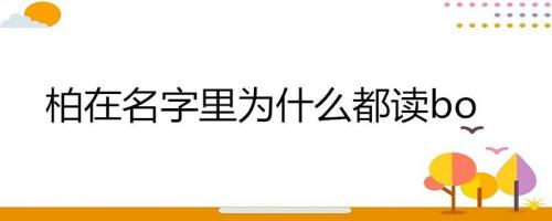 柏拉图的柏是念bai还是bo