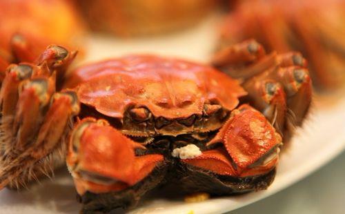 12月份的大闸蟹好吗