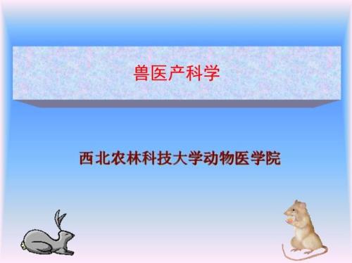 想学兽医到哪学呀