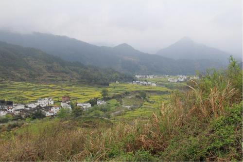 江岭和江湾哪个好