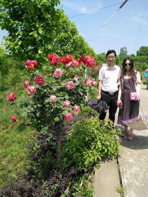 宜昌三峡植物园开放了吗