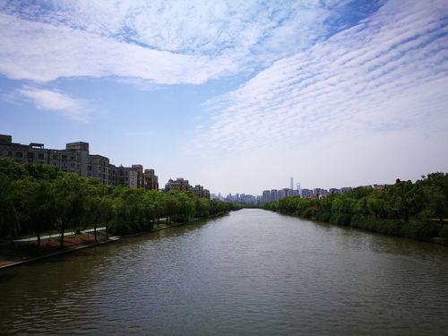 上海浦东新区什么时候春游