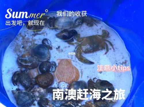 长乐南澳赶海捡海货攻略