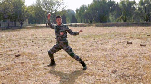 捕俘拳十六动详细教学