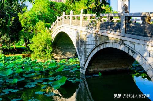 3月份深圳穿什么衣服合适