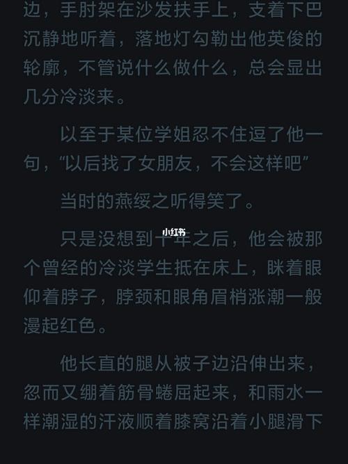 一级律师剧情梗概