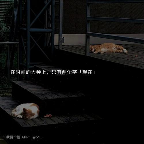 什么都不期待的文案短句