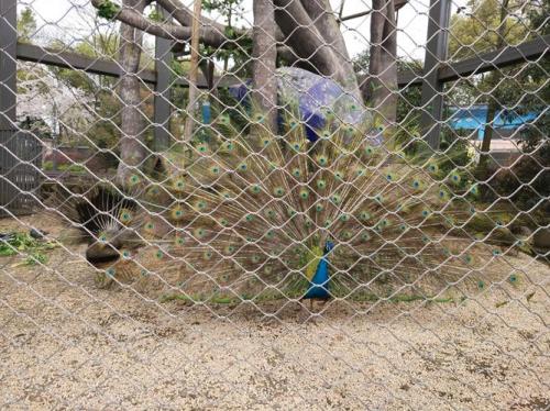 许昌西湖公园动物园门票