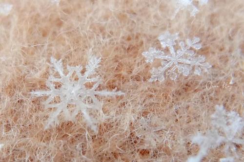 手机怎么拍雪花拍得很清晰